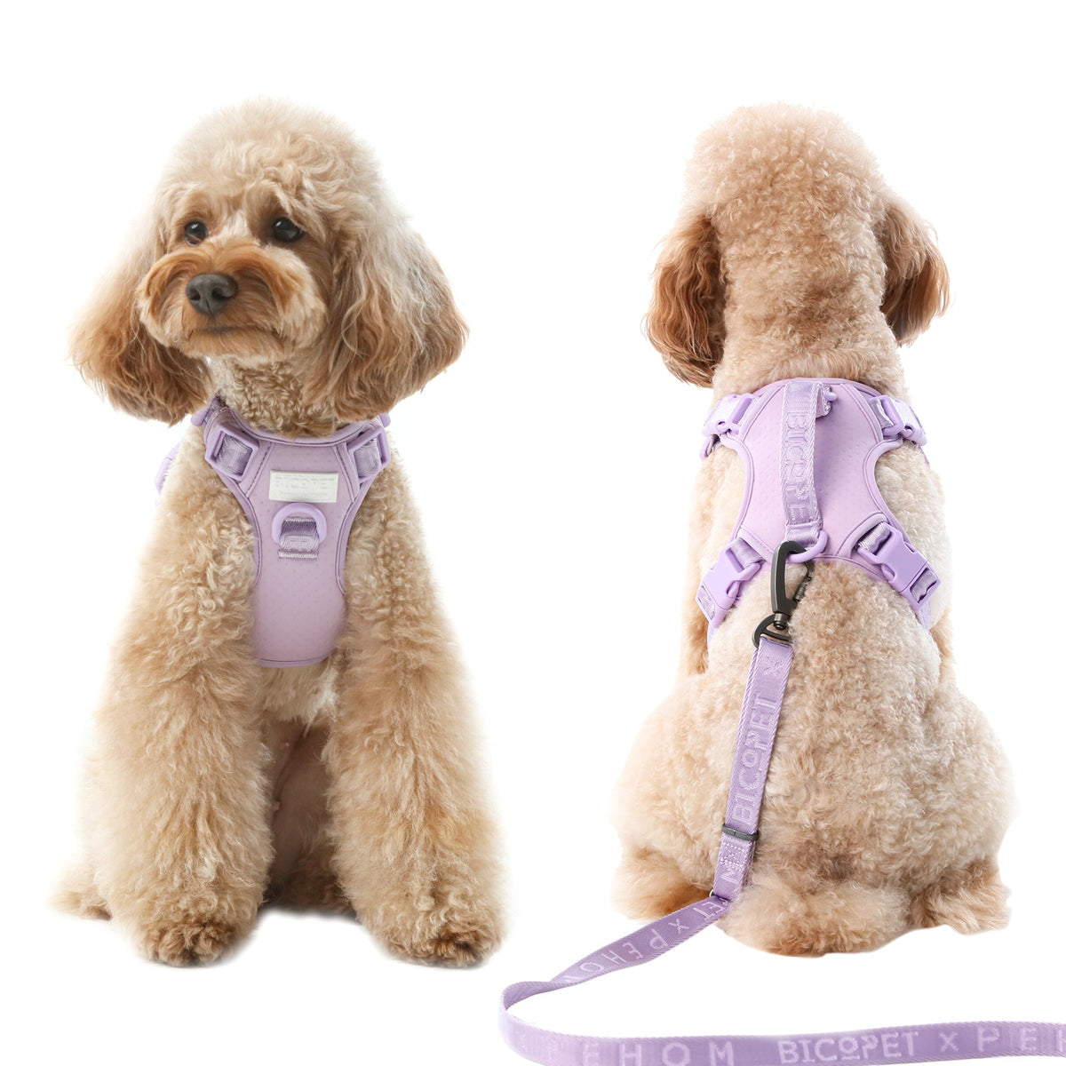 NO PULL ACTIVE  PET HARNESS - MINT PURPLE.