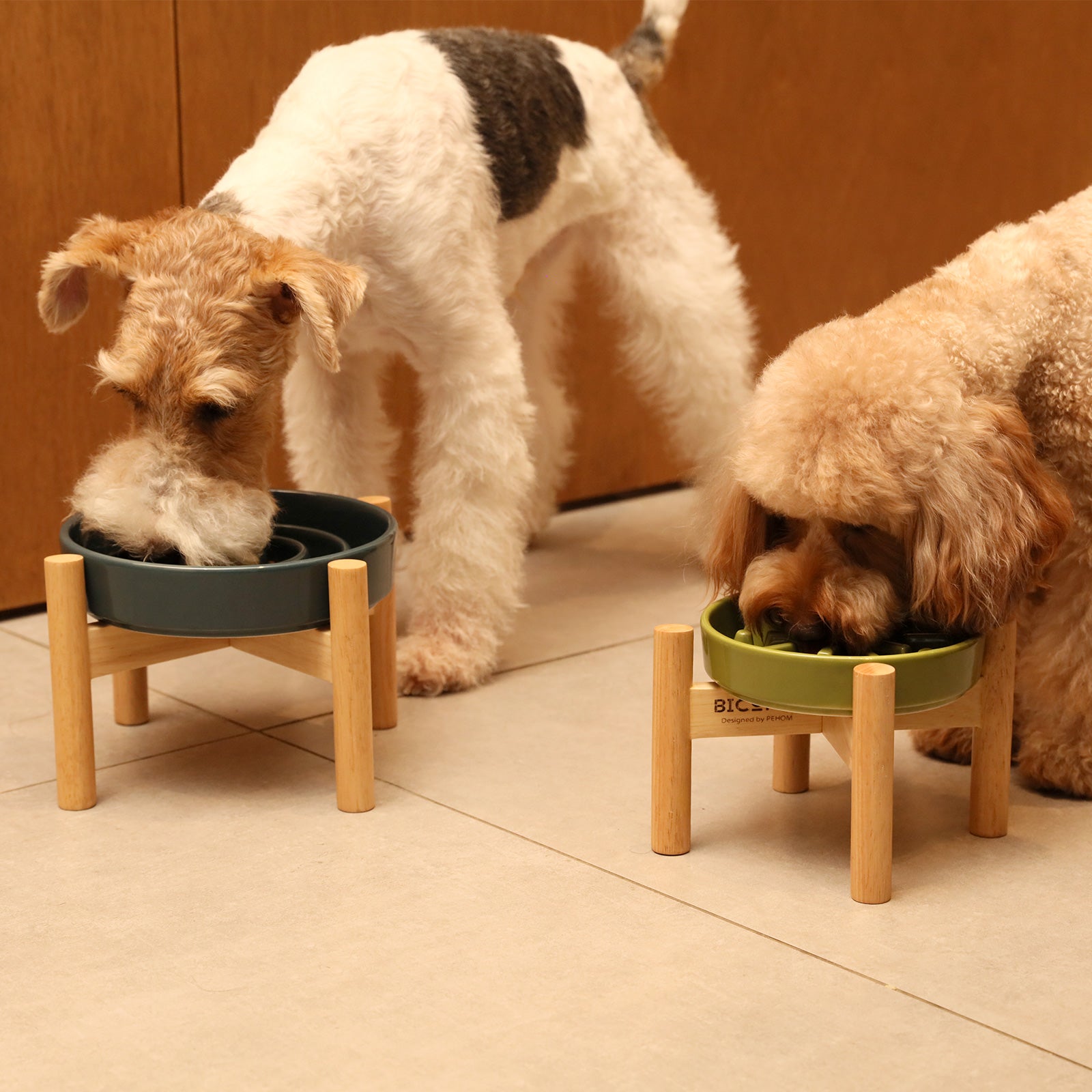 [Spark] Fressnäpfe für langsames Fressen – Rot / Grün / Blau