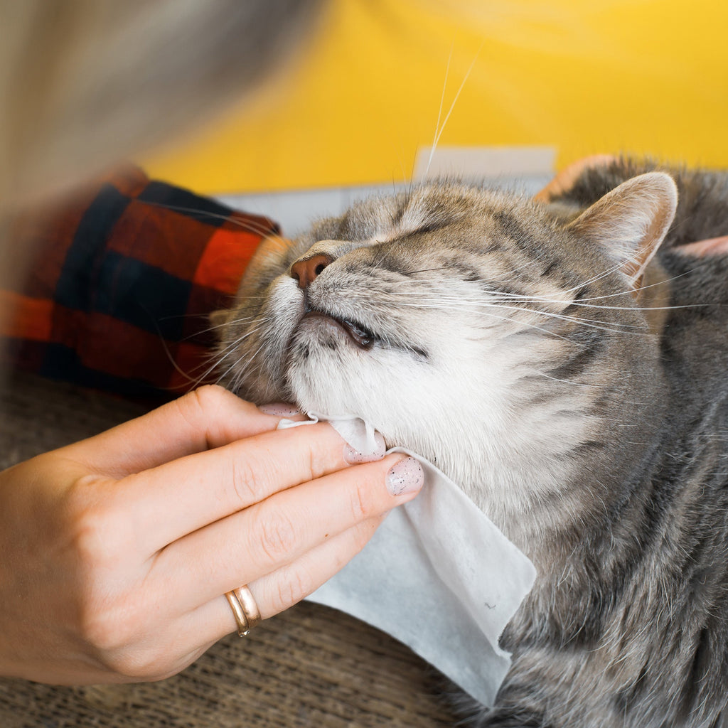 Furry Fresh Haustiertücher – Lavendelduft, 100 extra große Tücher