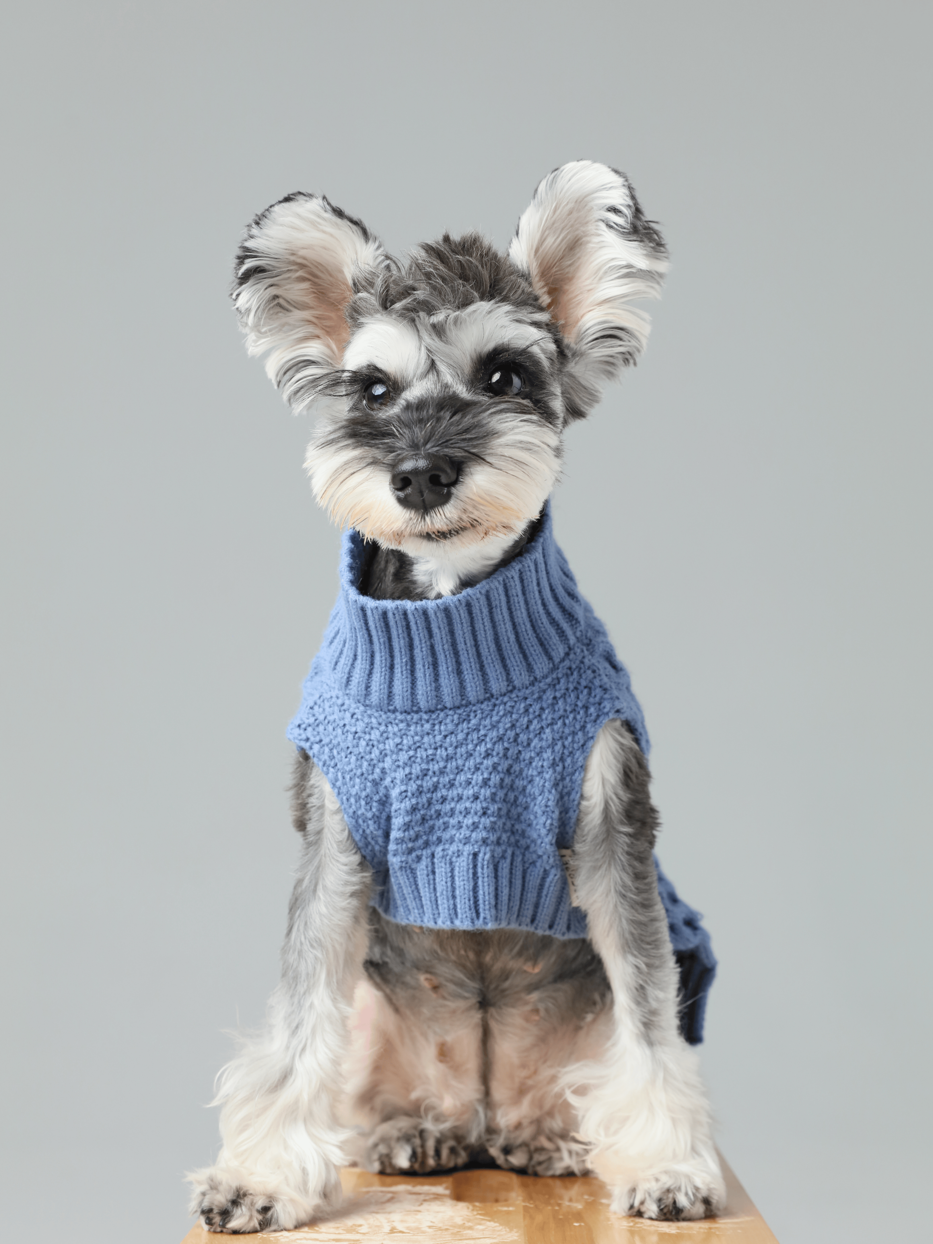 Pet Sweater Vest - Ice Blue