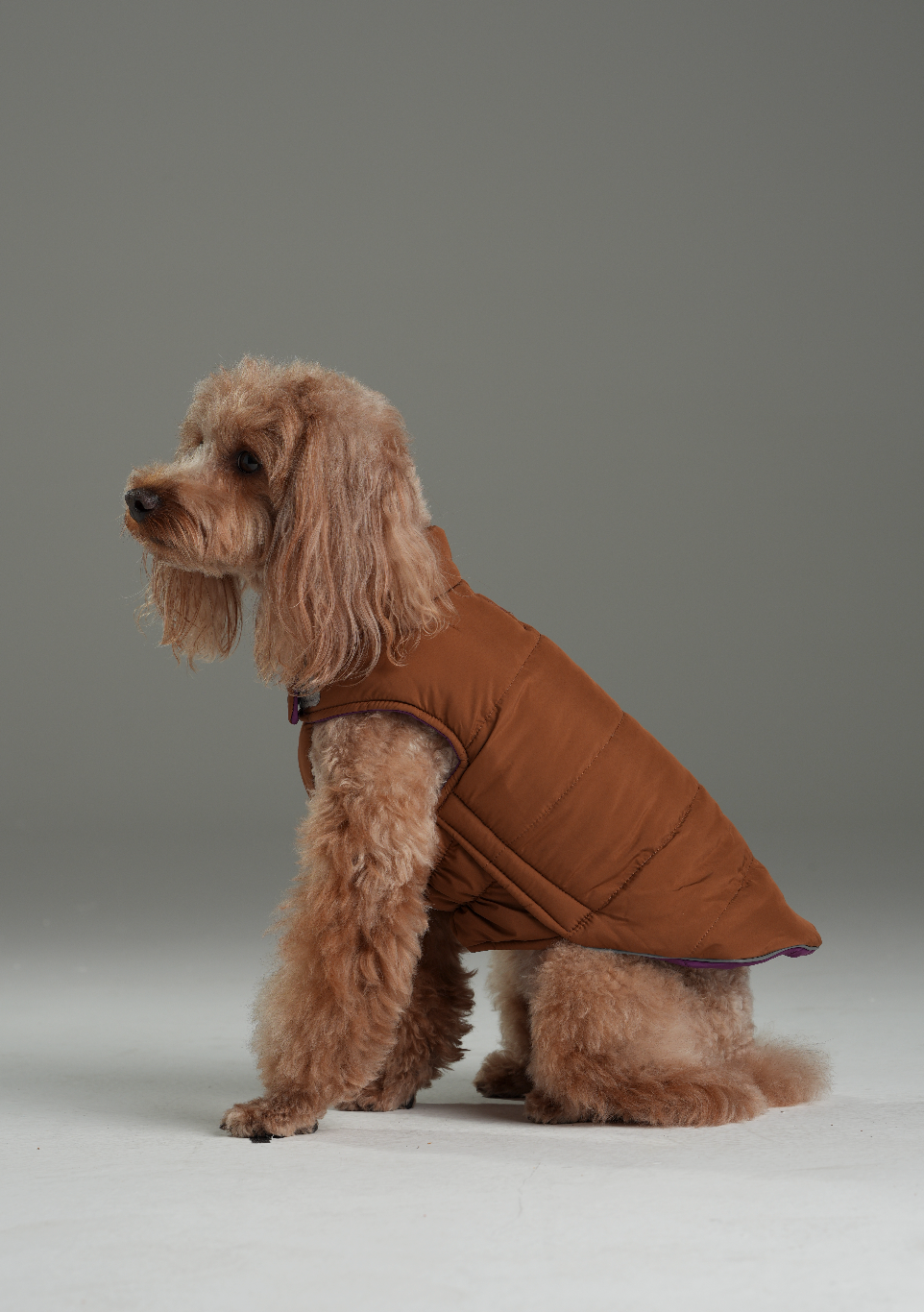 Wende-Hundeweste - Lila Karamell