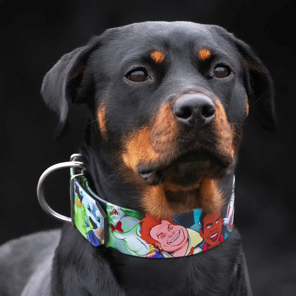 El collar "Cazafantasmas" -LIMITADO