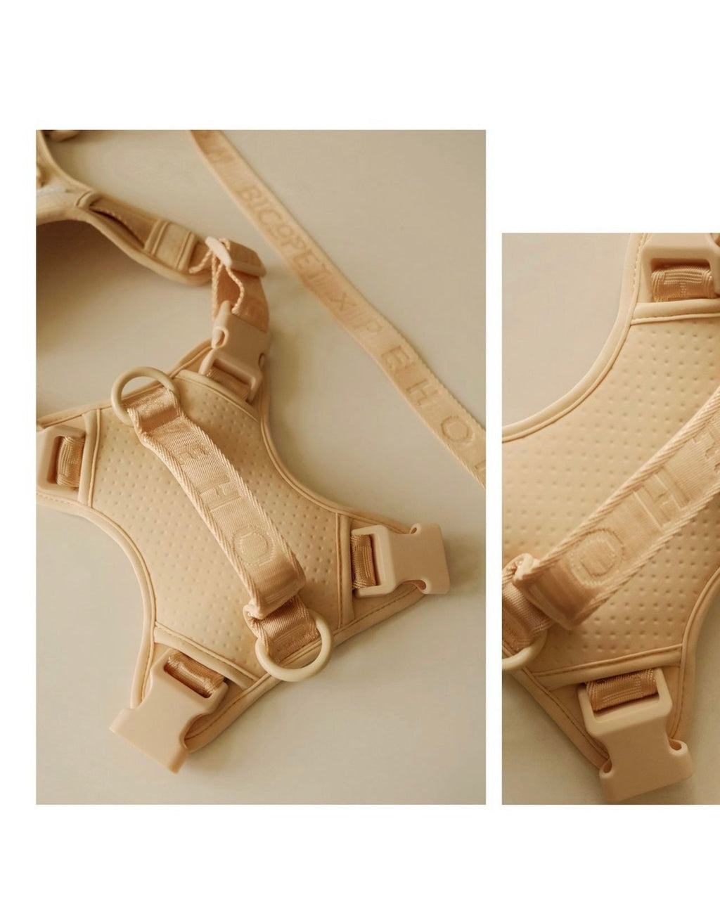 NO PULL ACTIVE  PET HARNESS - MINT PURPLE.