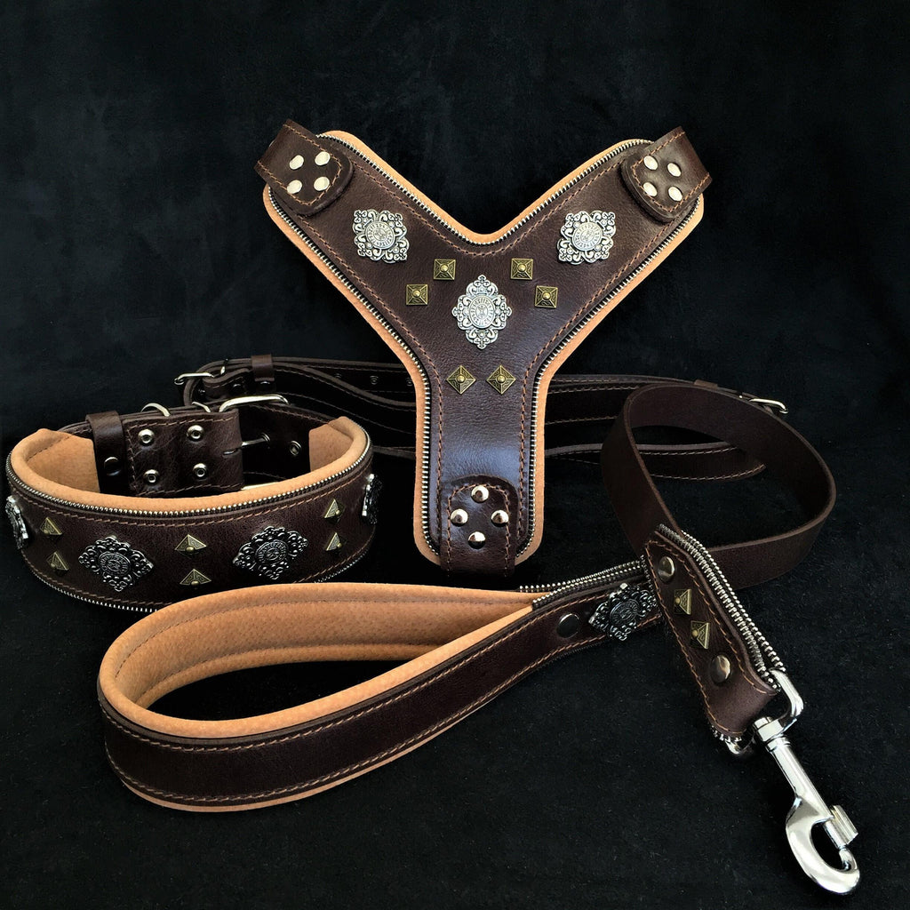 "AZTEC" BIG dog SET - Harness - collar - lead. Brown.