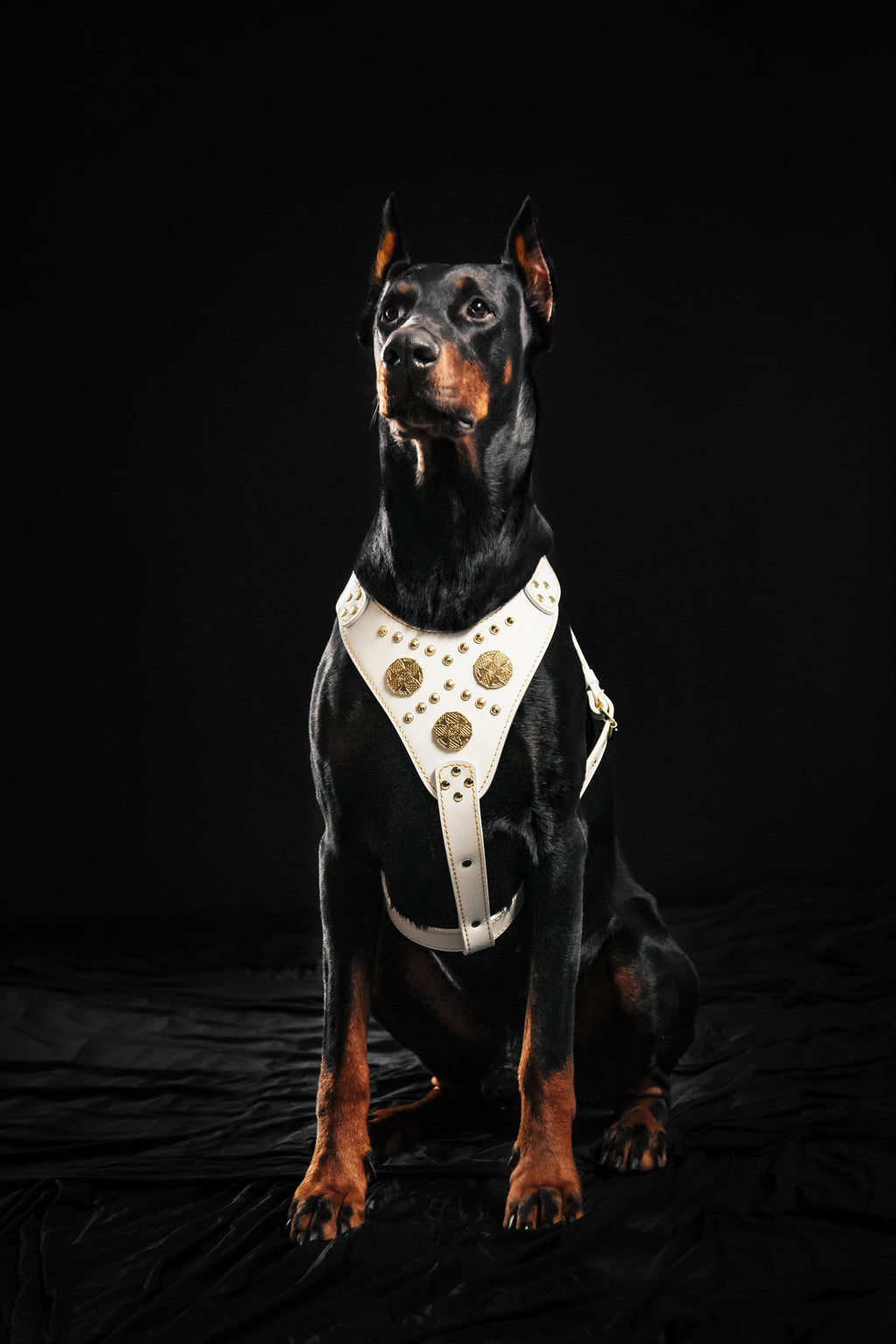 Das "Maximus" Geschirr Weiß