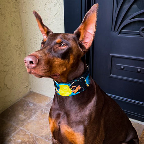 The BCW Limited Collar.