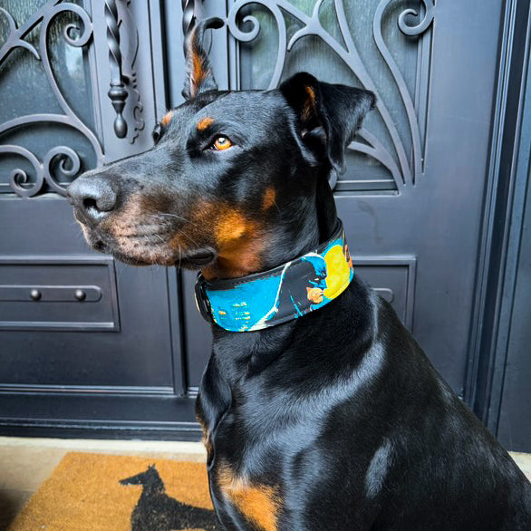 The BCW Limited Collar.