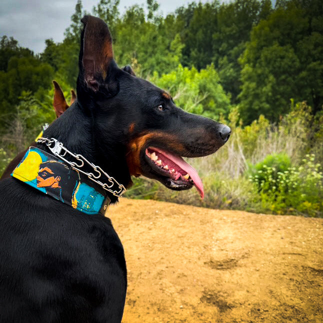 The BCW Limited Collar.