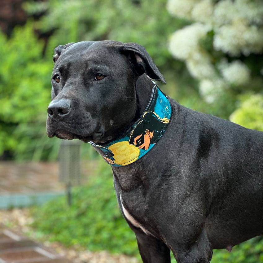The BCW Limited Collar.