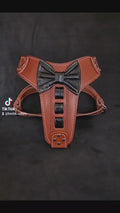Bestia ''Bowtie'' leather Dog harness