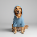 Cheeky Pup Hoodie - Sassy Dog Apparel for Stylish Pups