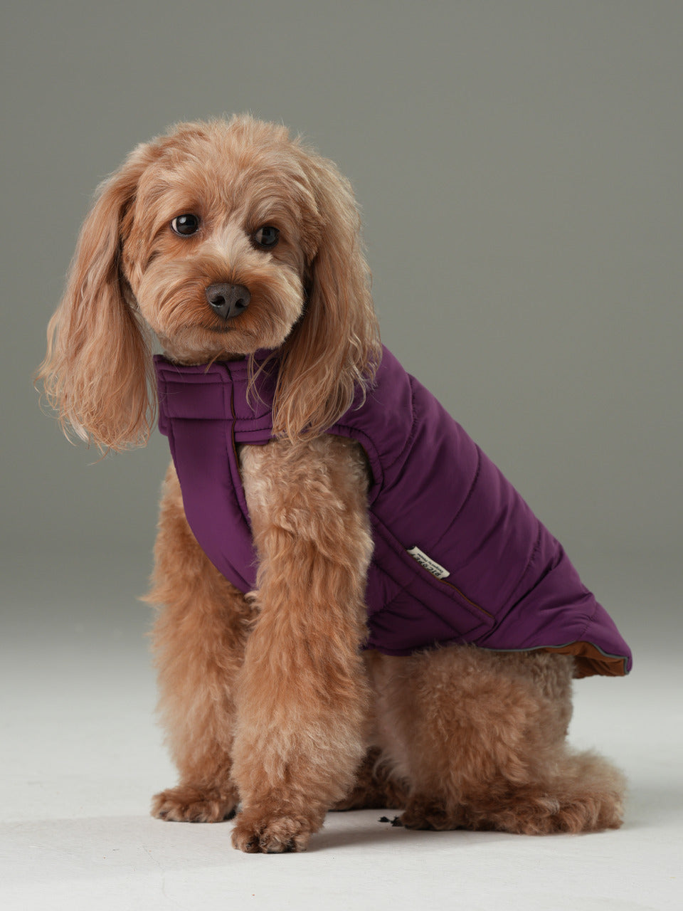 Wende-Hundeweste - Lila Karamell