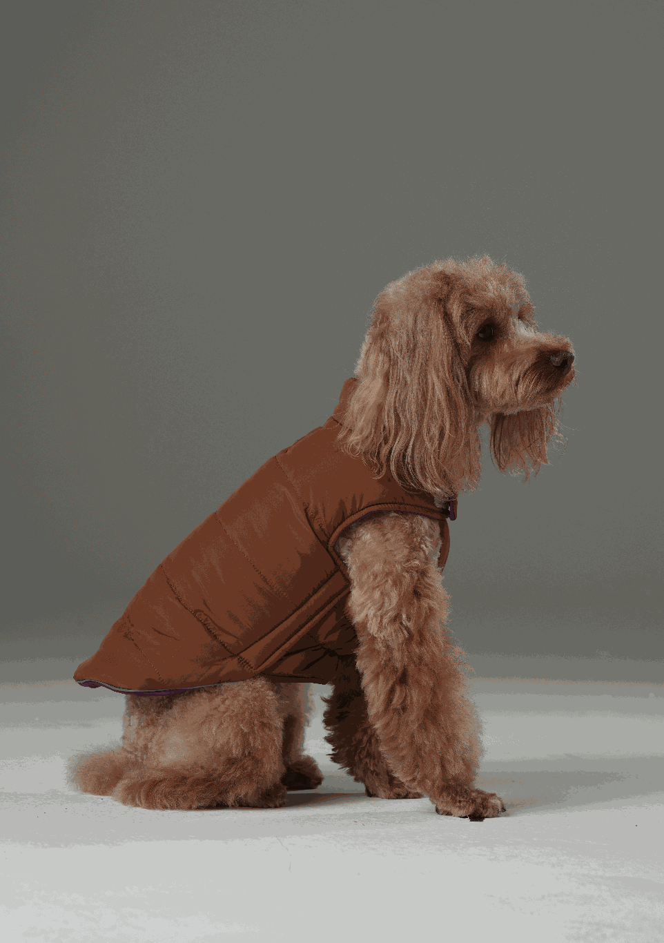 Wende-Hundeweste - Lila Karamell