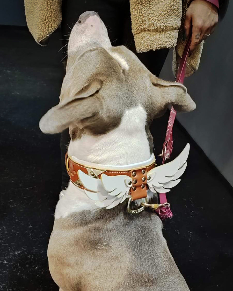 Hermes-Halsband