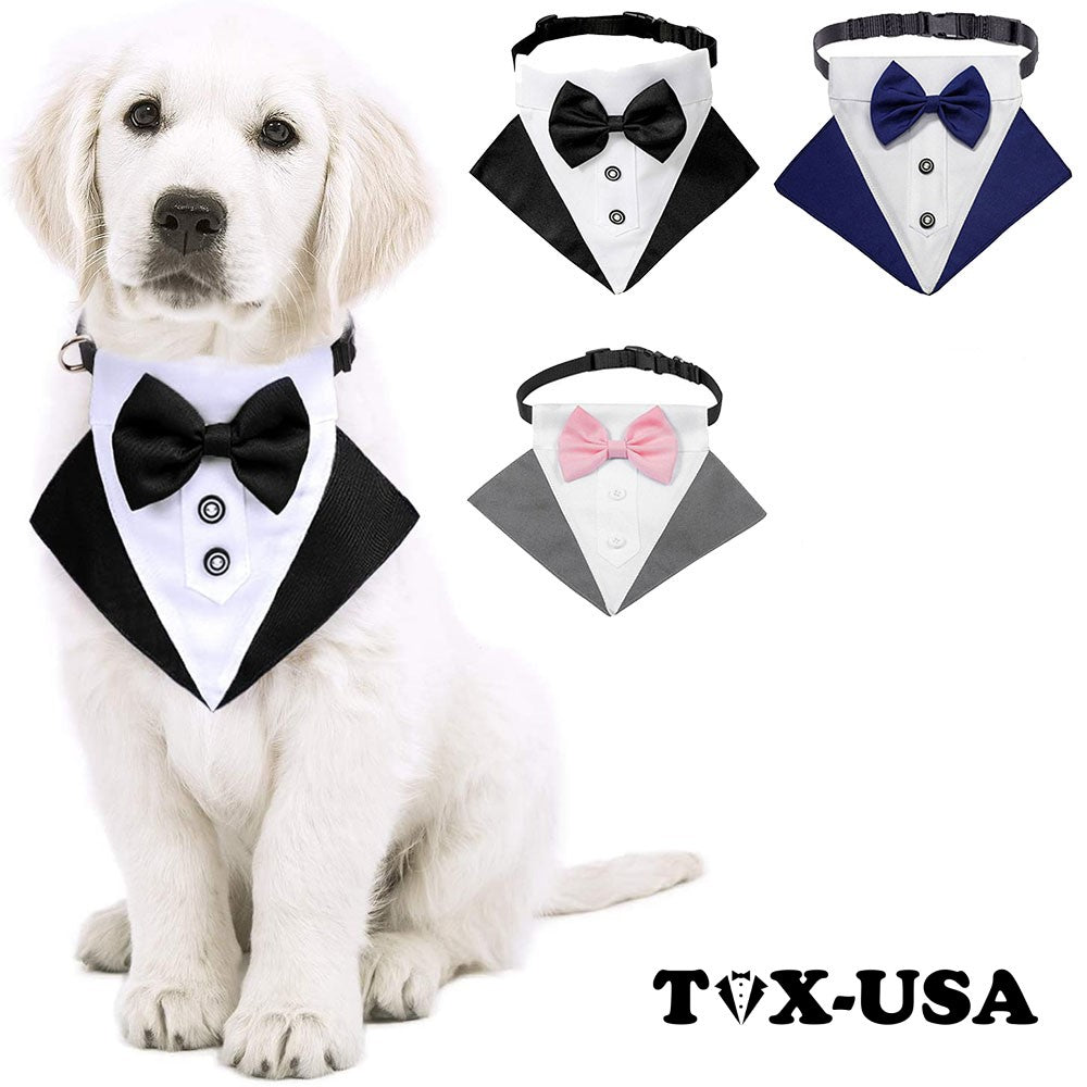 Mascotas Perro-Gato Esmoquin Collar Pañuelo