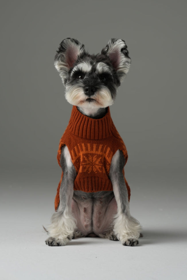 Suéter para mascotas Pretzel - Naranja Toffee