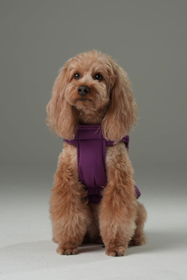 Wende-Hundeweste - Lila Karamell
