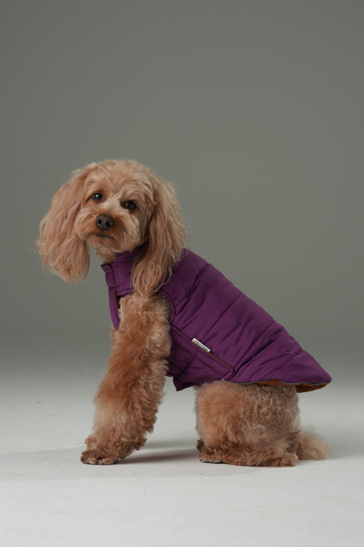 Wende-Hundeweste - Lila Karamell
