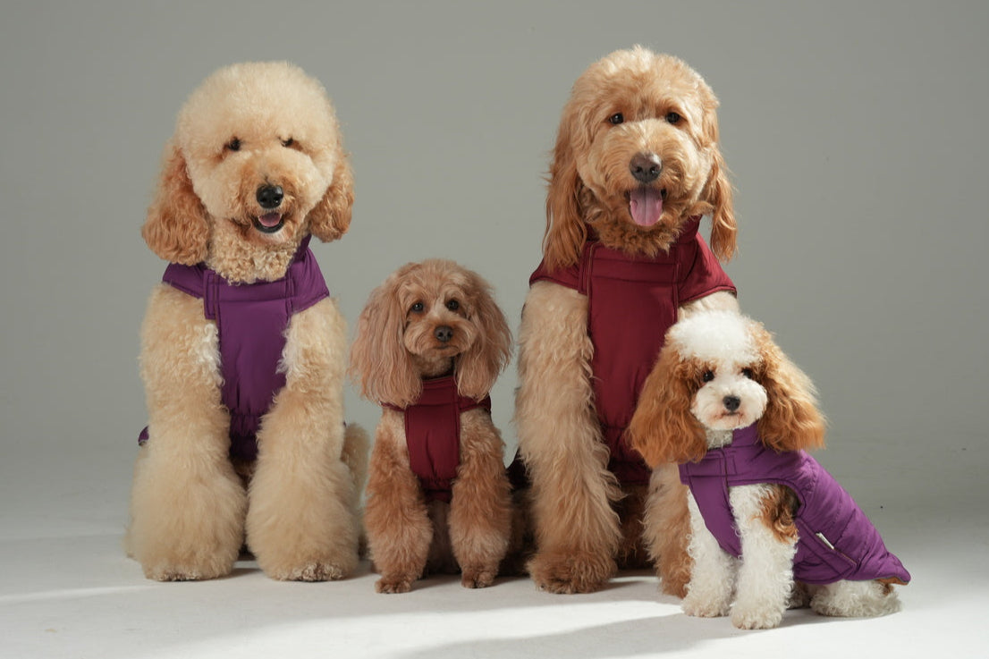Wende-Hundeweste - Lila Karamell