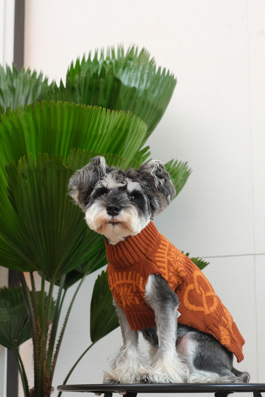 Suéter para mascotas Pretzel - Naranja Toffee