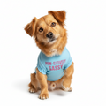 Sassy Paws Dog Tee - Cheeky Dog Apparel