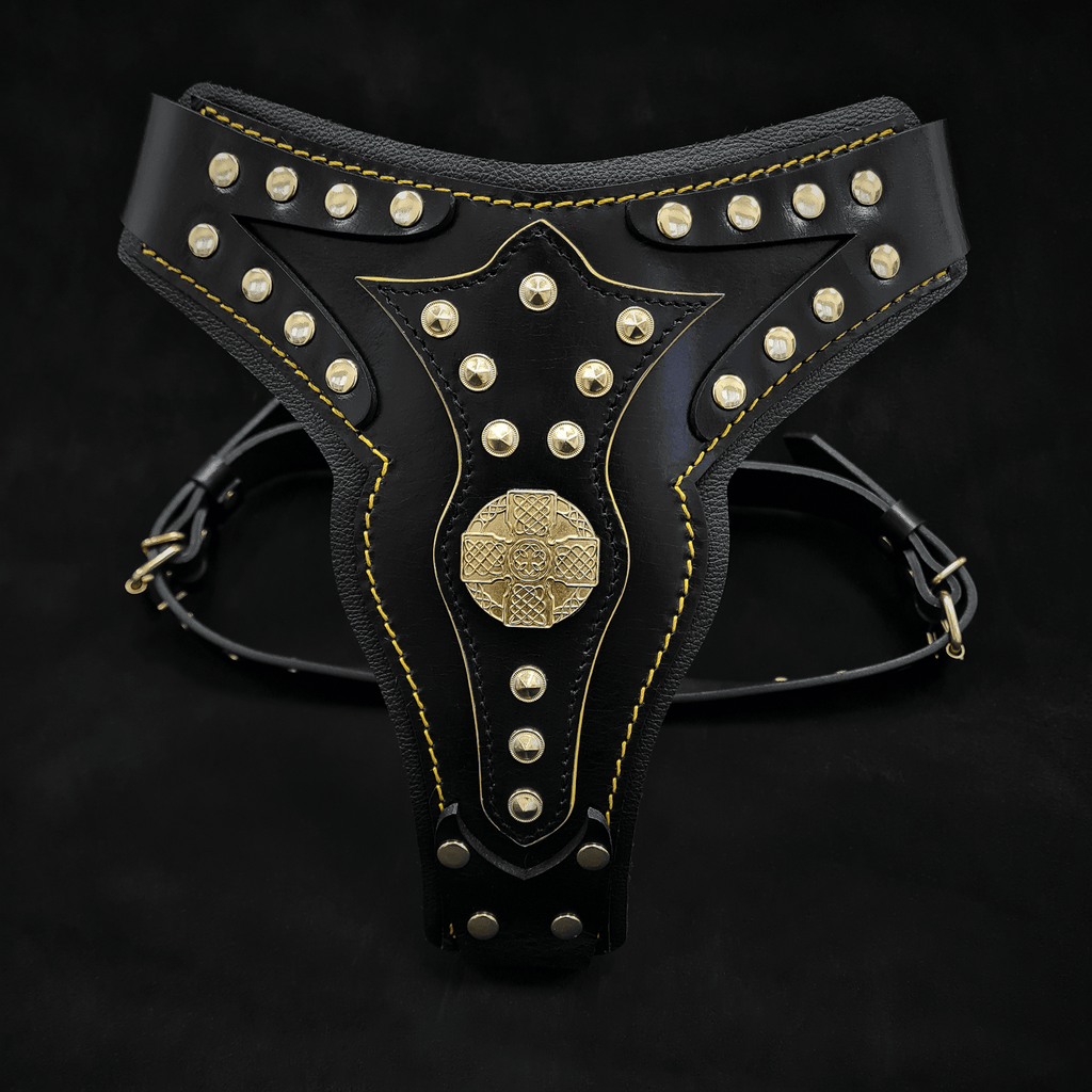 The "Maximus" harness V2